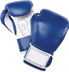 Boxing Gloves