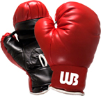 Boxing Gloves