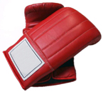 Boxing Mitts