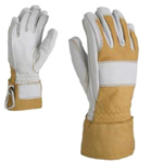 Ski Gloves