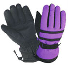 Ski Gloves