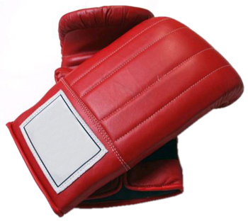 Boxing Mitts