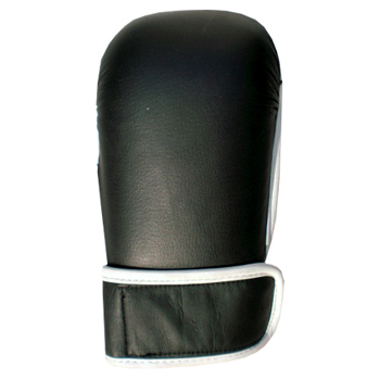 Boxing Mitts
