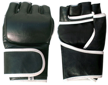 Boxing Mitts