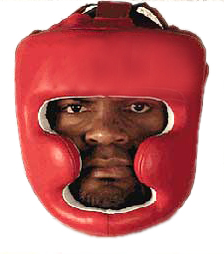 Head Guards