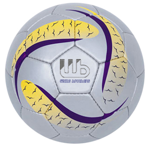 Training Balls