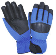 Ski Gloves